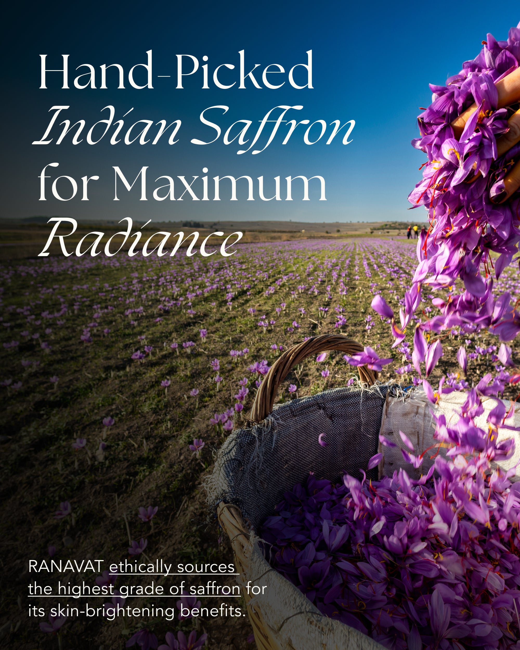 Brightening Saffron Serum