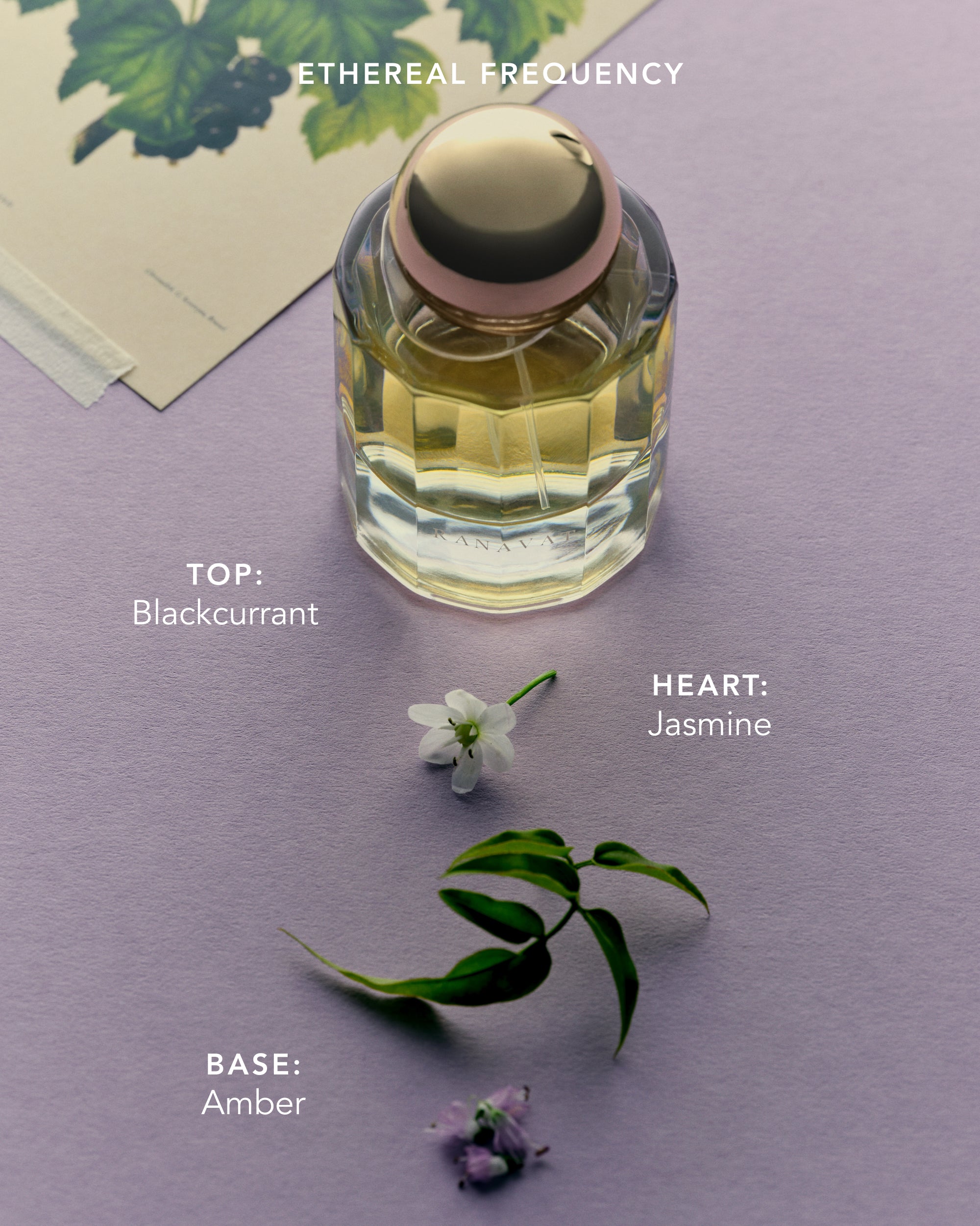 Ethereal Frequency: Eau de Parfum Mini