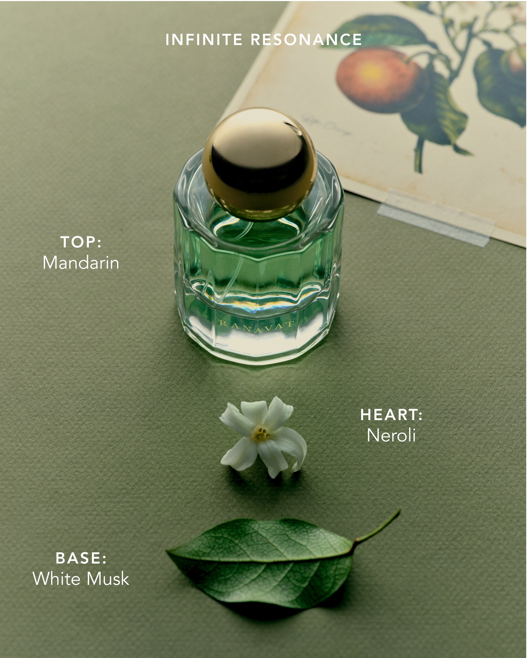 Infinite Resonance: Eau de Parfum Mini