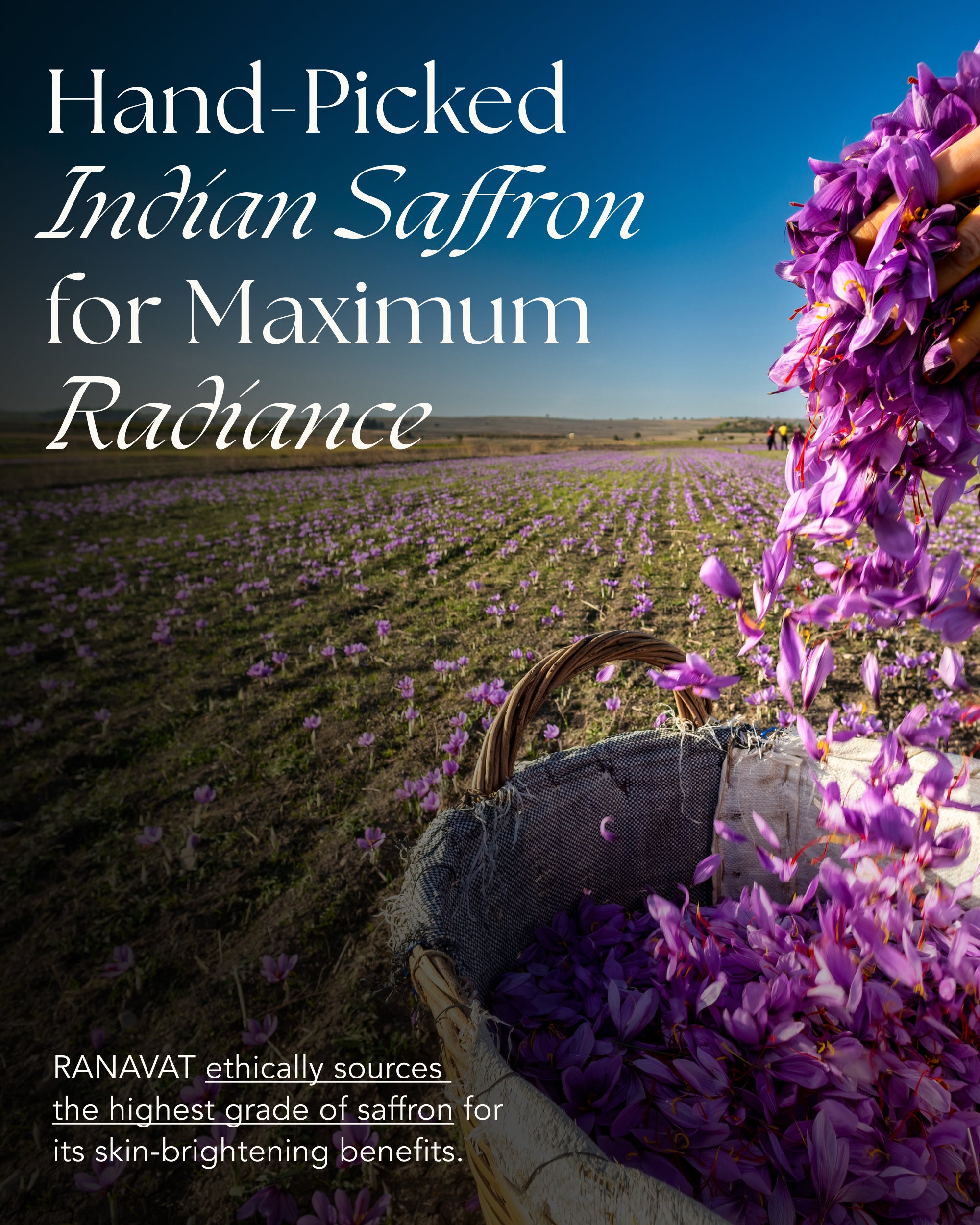Brightening Saffron Essence