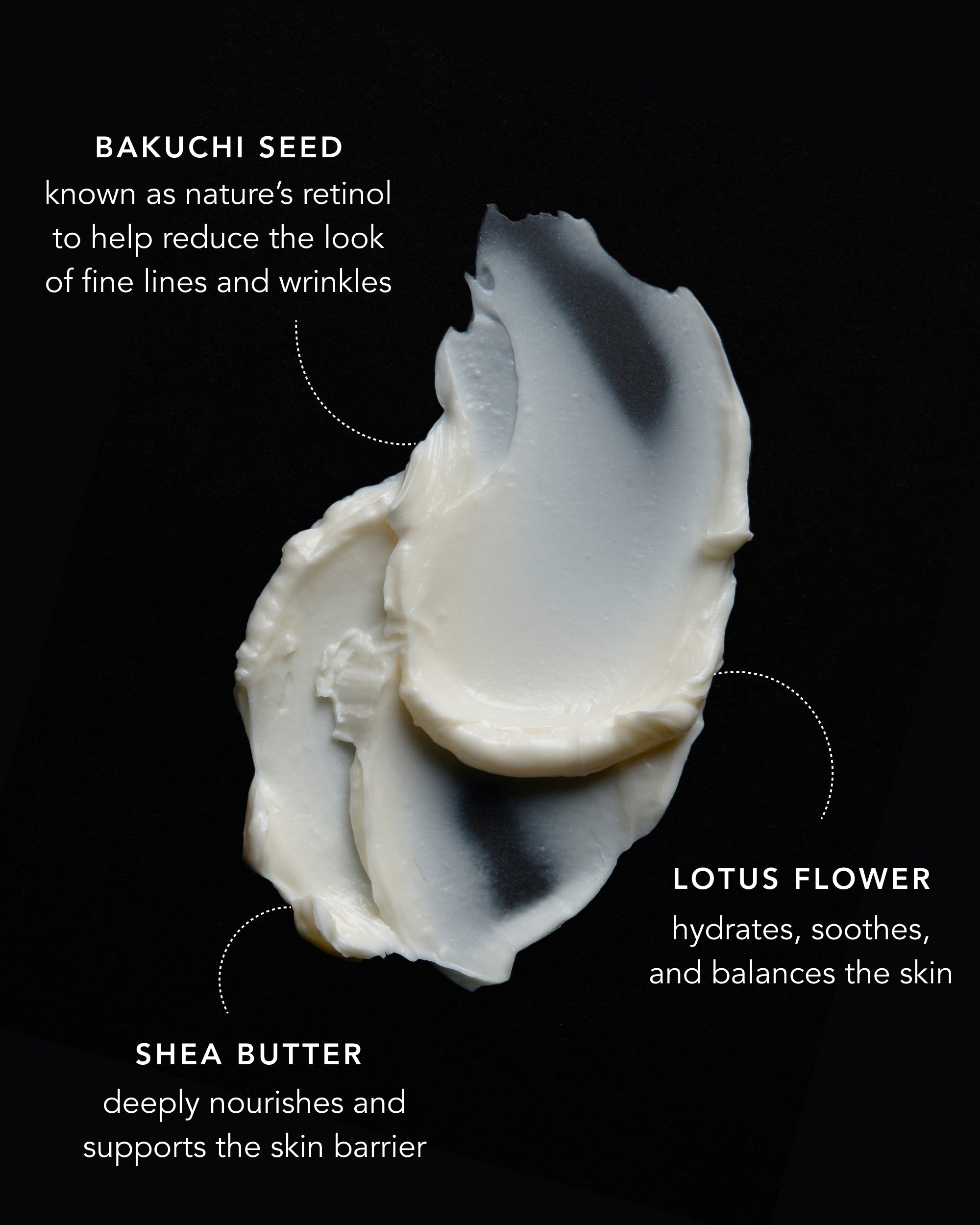 Renewing Bakuchi Crème