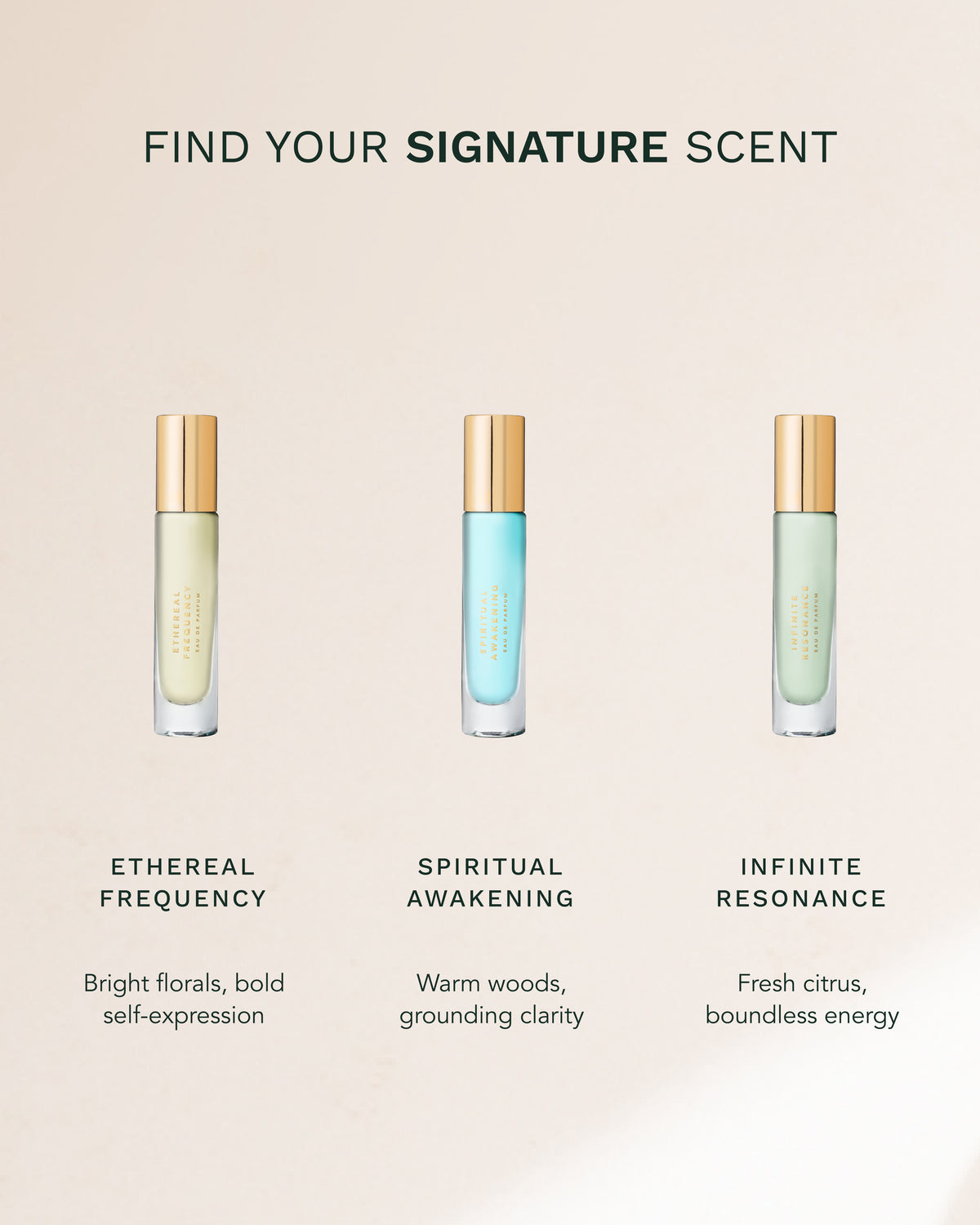 Fragrance Discovery Set
