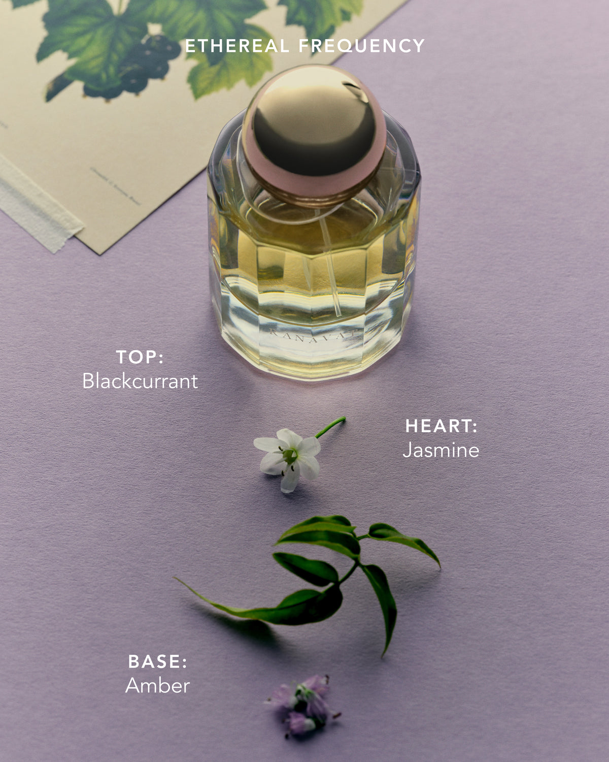 Fragrance Discovery Set