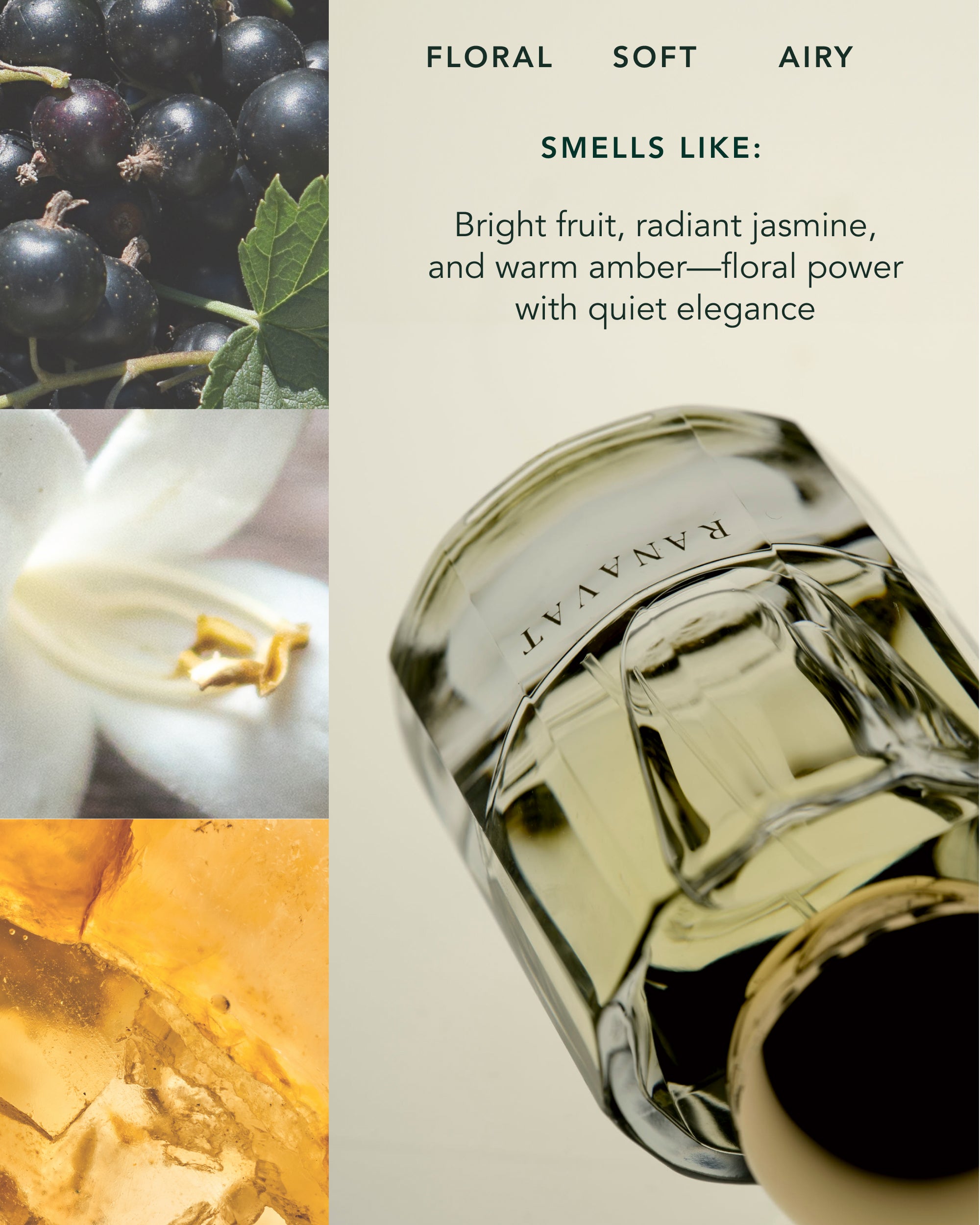 Ethereal Frequency: Eau de Parfum