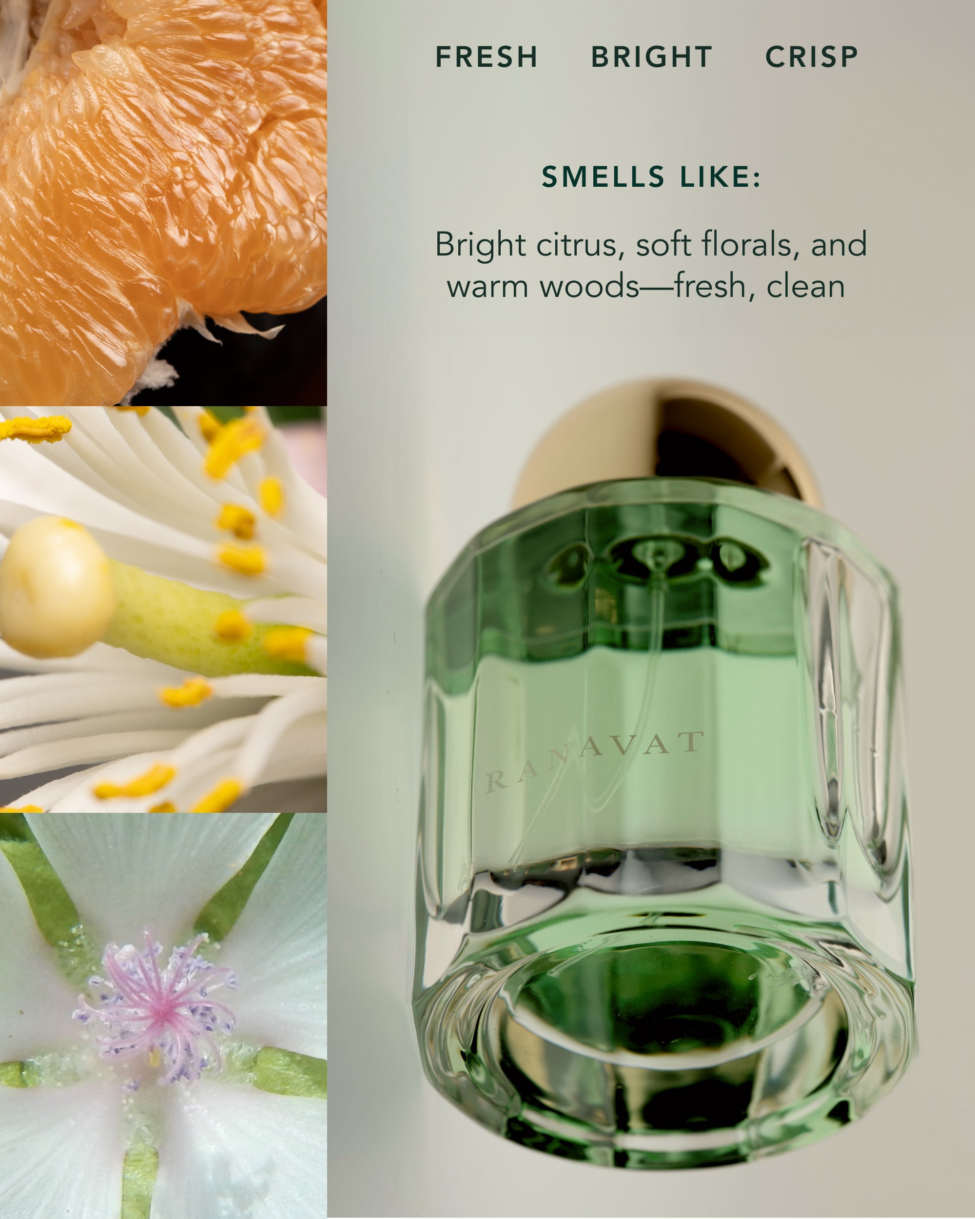 Infinite Resonance: Eau de Parfum Mini