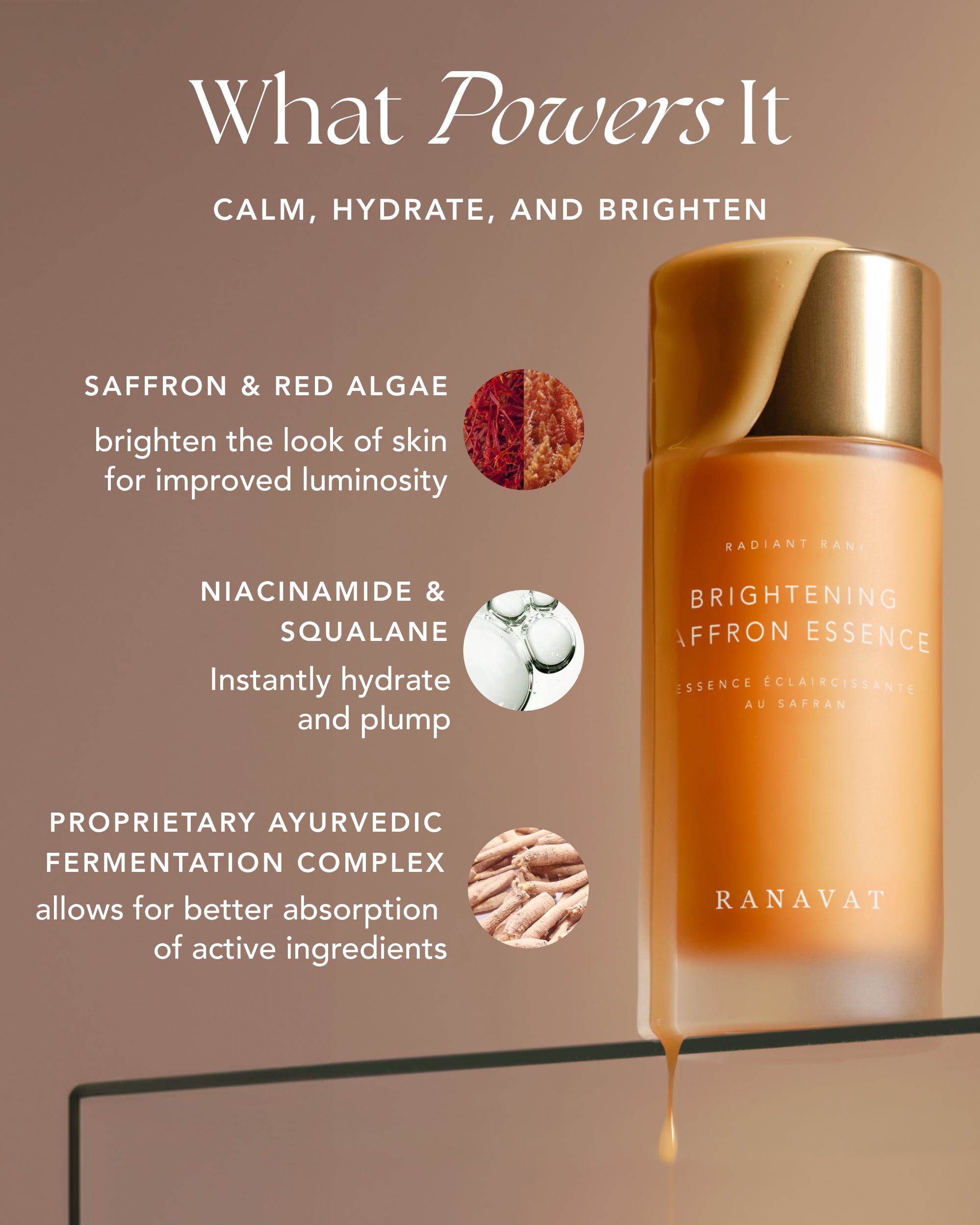 The Radiant Rani Collection