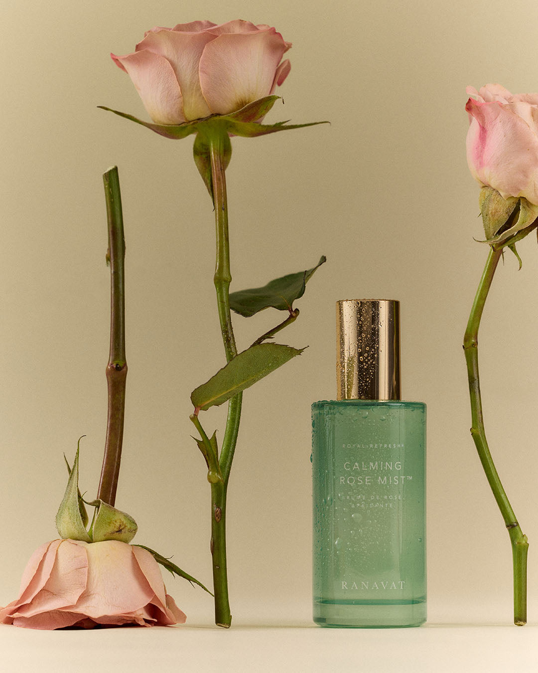 Rose Mist GWP