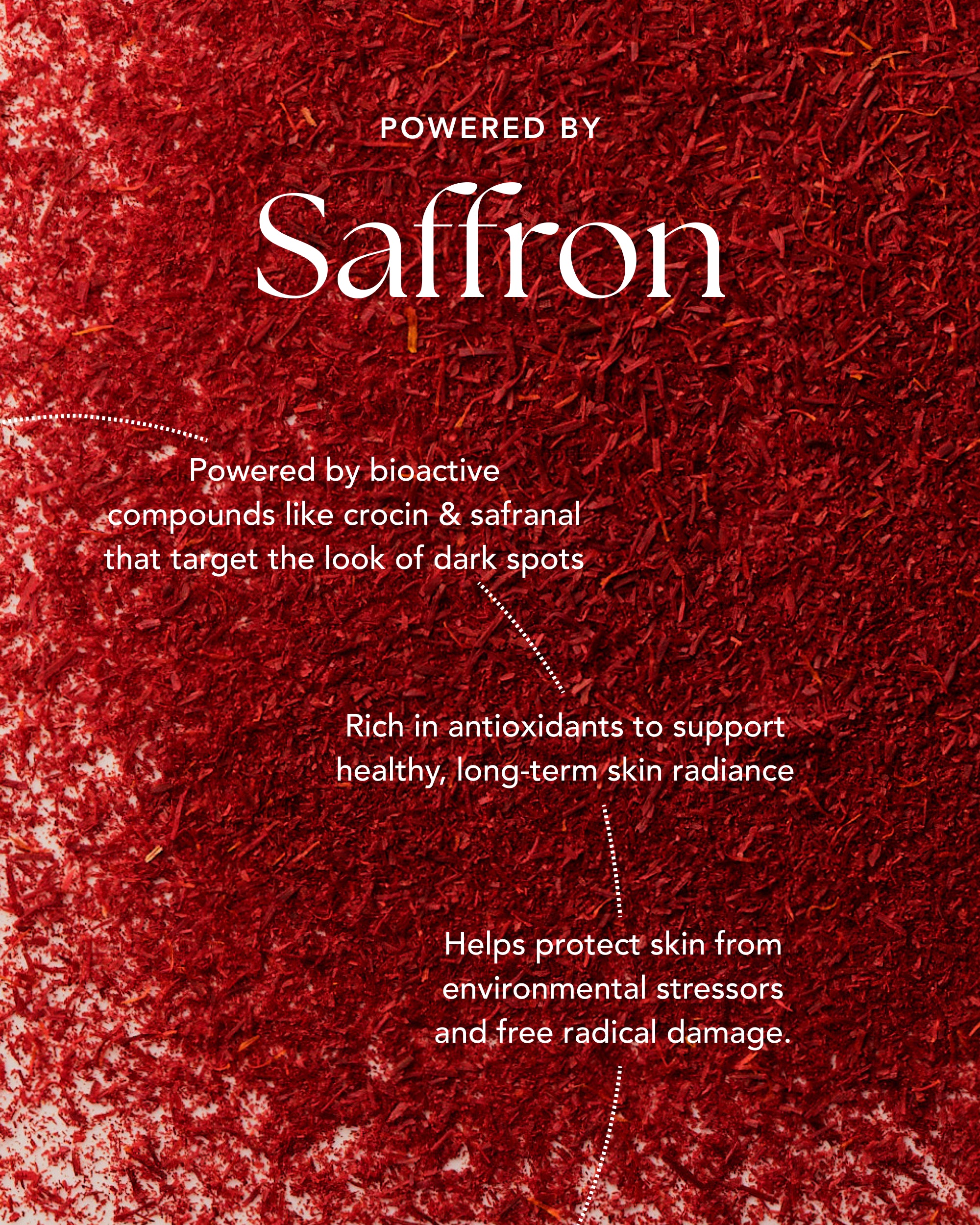 Cleanse and Protect Duo