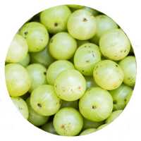 Amla - RANAVAT
